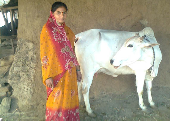 A woman with her cow